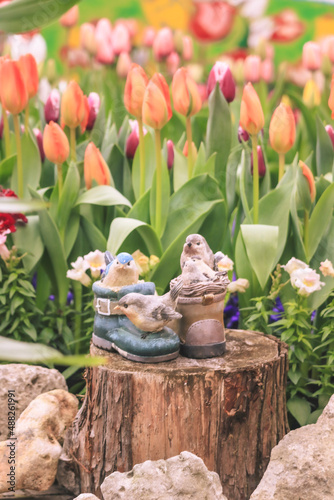 tulips in pots