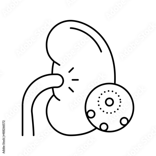 infection kidney line icon vector illustration
