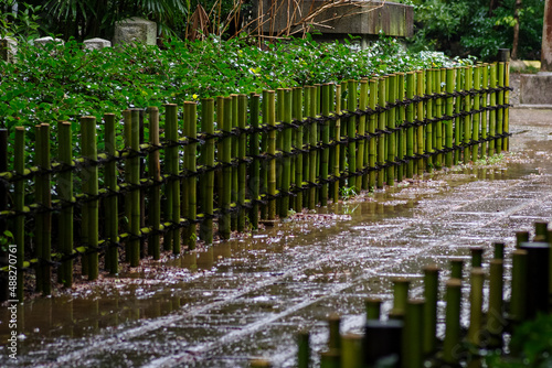 雨が降り石畳が濡れている。竹でできた柵が青く輝いている