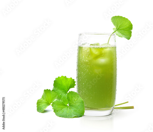 Gotu kola juice ice cool drink with fresh leaves isolated on white background. photo