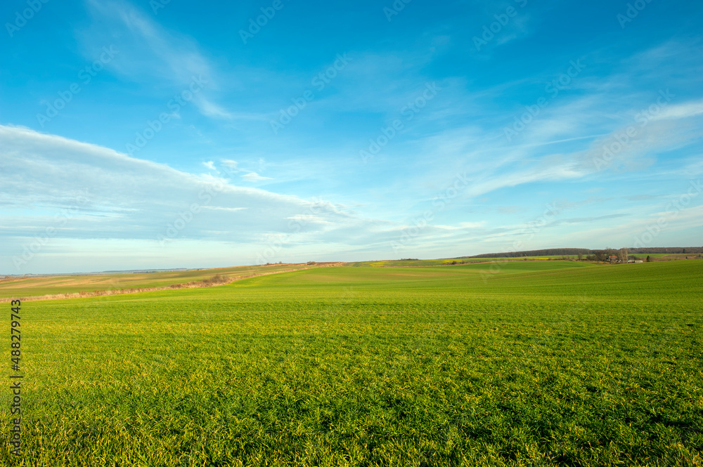 Plowed field under the background of blue sky