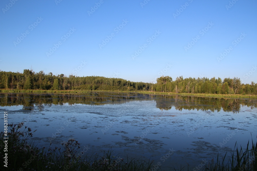 reflection of trees in the water, Elk Island National Park, Alberta