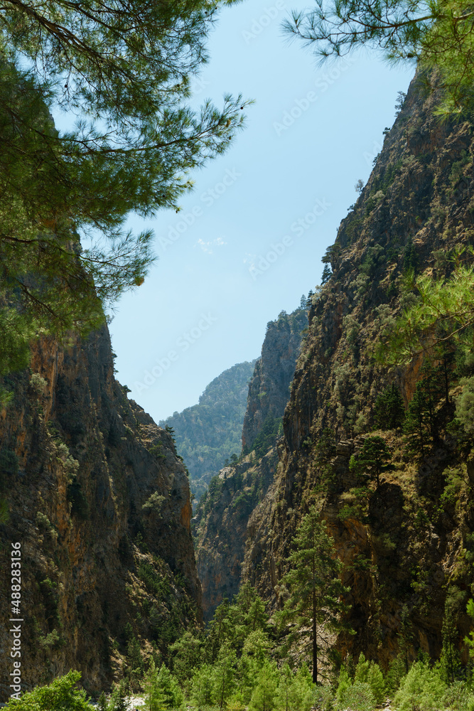Samaria Gorge with trees in the foreground in Crete, Greece