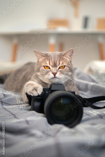 Cat with a camera
