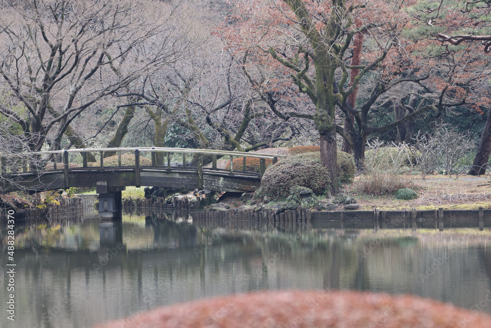 Fototapeta premium 日本庭園の写真
