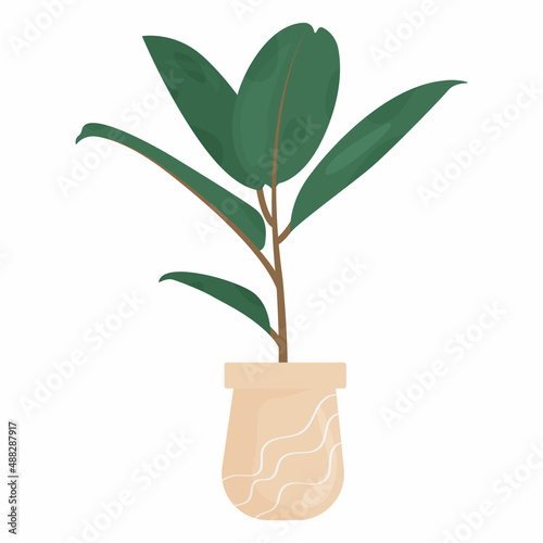 Houseplant in a pot. Fashion home decor Vector illustration isolated on white background