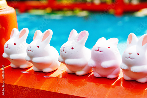 京都 岡﨑神社のうさぎおみくじ Rabbit fortune at Okazaki Shrine in Kyoto, Japan 