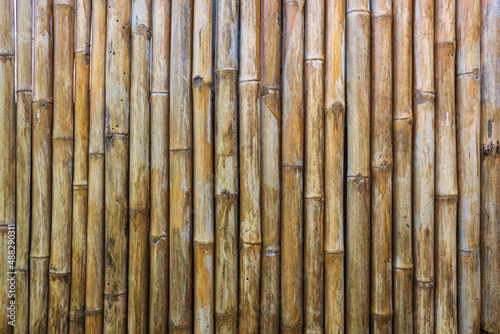 bamboo dcecor wall textured background