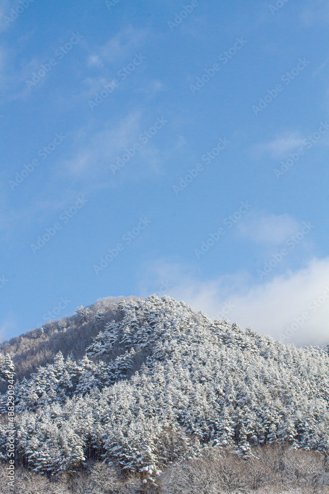 雪の積もった山