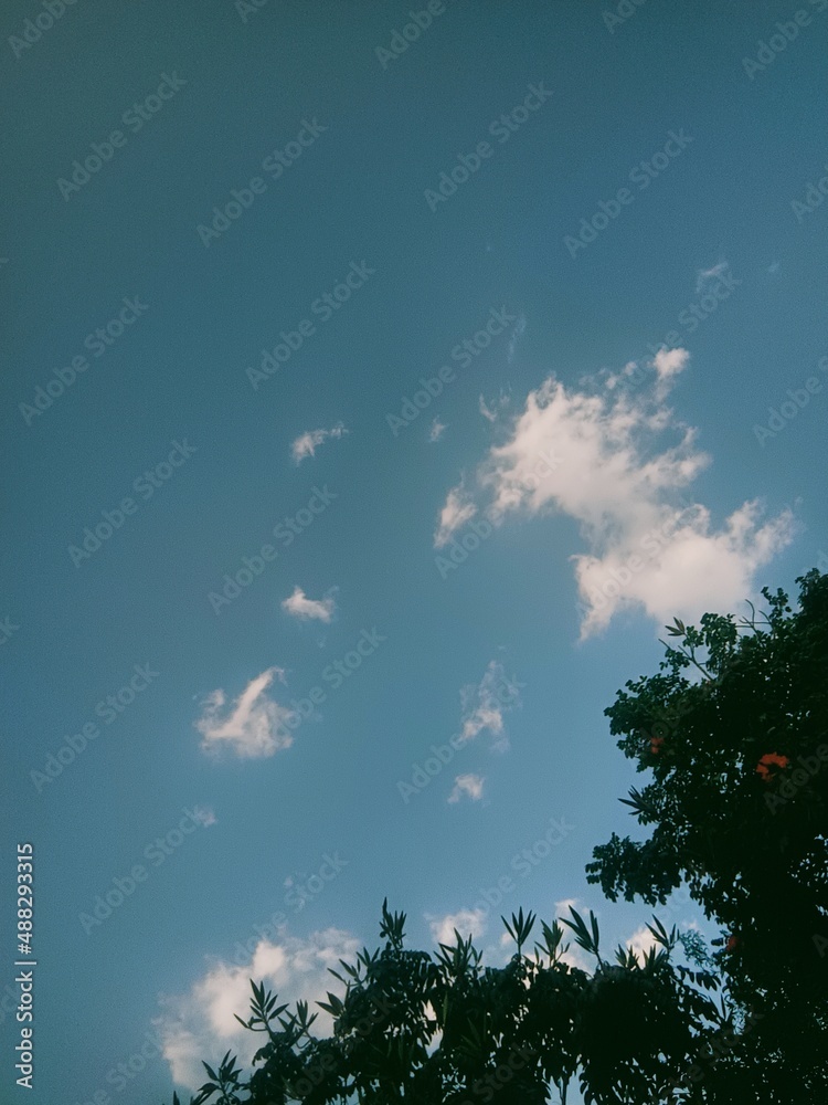 Obraz premium sky and clouds