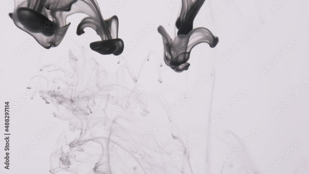 drop black ink paint in water slow motion 4k