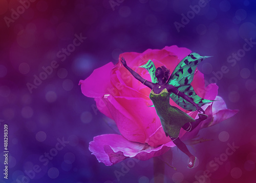 Pink rose and fairy
