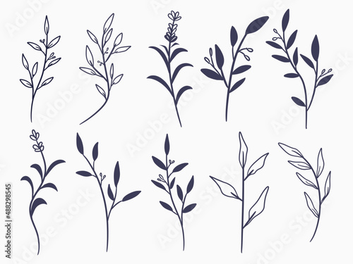 hand drawn decorative flower and leaves