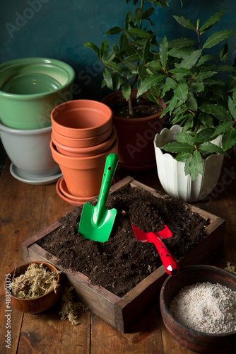 Soil, pots and shovels for transplanting plants photo