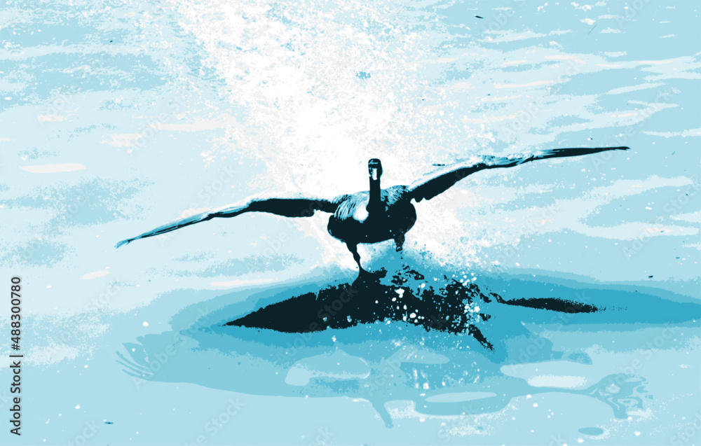 Naklejka premium Vector illustration of a Canada Goose landing on water with teal colouring. 