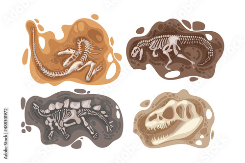 Dinosaur fossils vector illustrations set. Bones or skeletons of prehistoric reptiles found underground during excavations isolated on white background. Archeology, paleontology concept