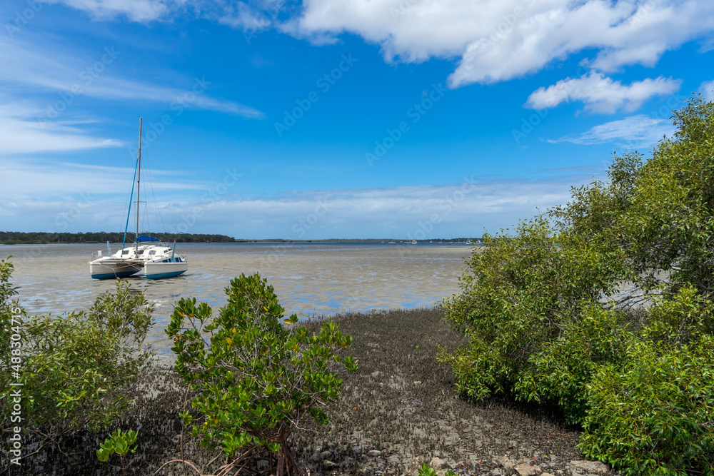 View past mangrove trees to a catamaran on the sand at low tide. Tin Can Bay, Queensland, Australia 
