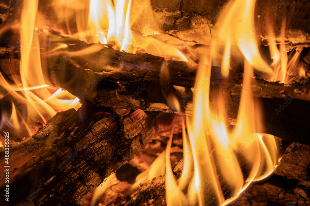 Naklejka premium 焚き火