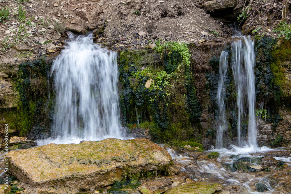 Obraz premium Millennial cold forest creek, little waterfalls over the rocks with slippery moss