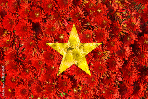 Texture of the national flag of Vietnam. Flower arrangement