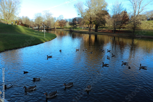 lake in the park