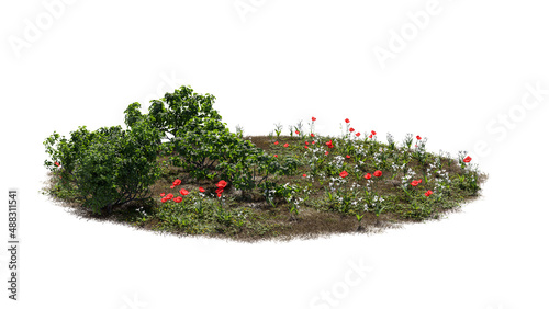 Cutout trees and flowers. Garden design isolated on white background. Decorative shrub for landscaping. High quality clipping mask for professional composition.