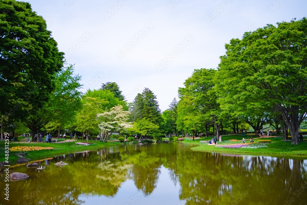 lake in the park