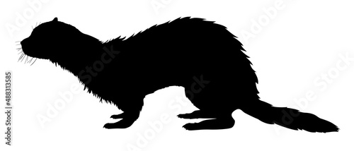 silhouette of a ferret