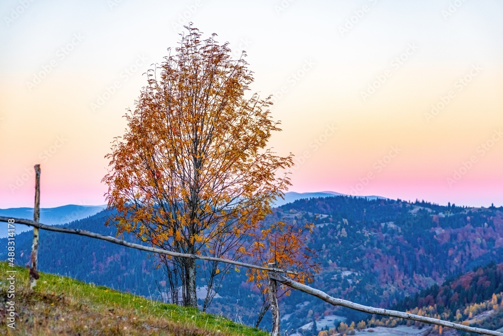 Grassy slope and wooden fence against forestry mountains Grassy slope and wooden fence against forestry mountains
