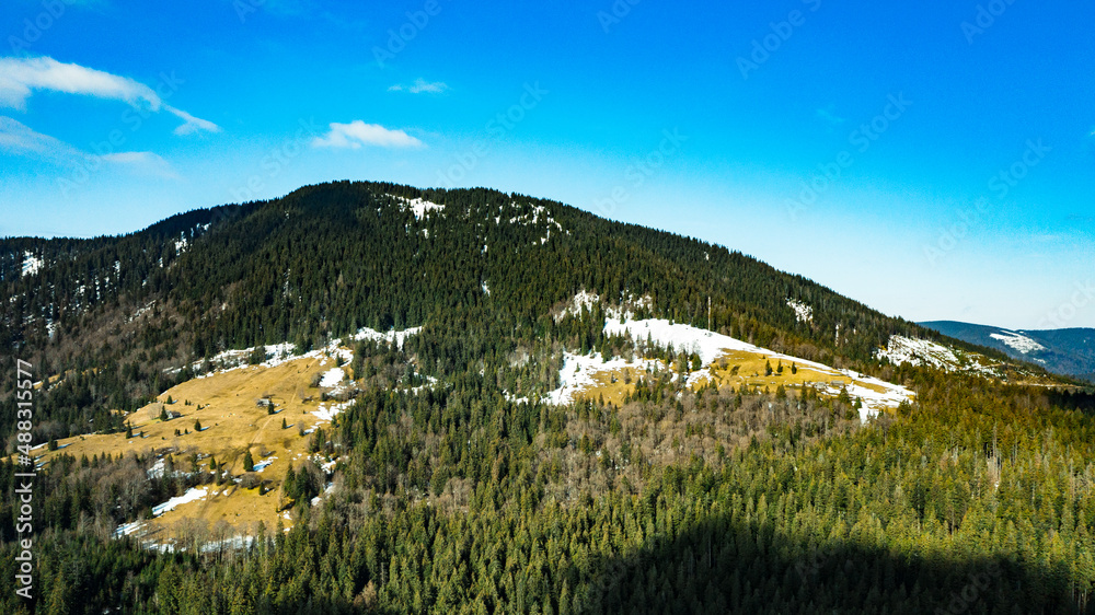 Spruce and evergreen forests of the Carpathians in the morning sun, picturesque landscapes from a bird's eye view.