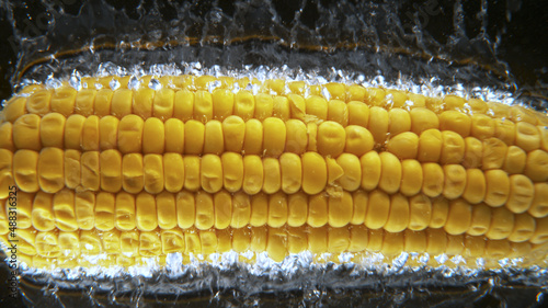 Falling tasty corn cob into...