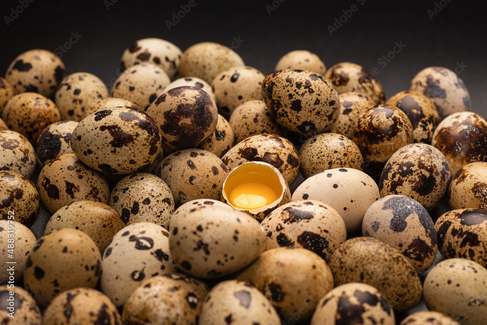 Group of quail eggs as a background. Raw eggs. Group of quail eggs as a background. Raw eggs.