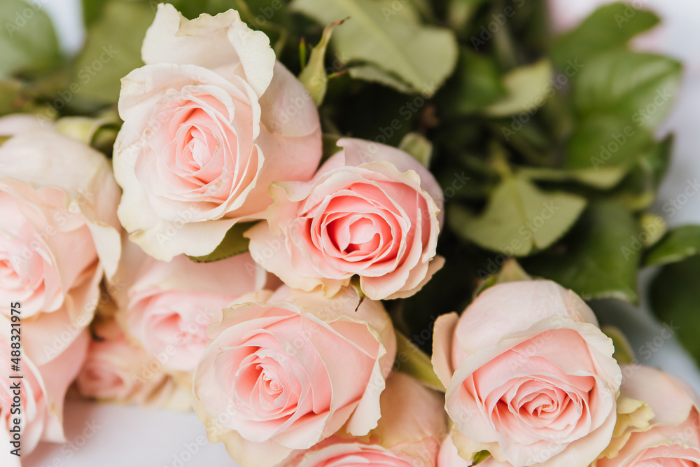 Pink roses lie on a white table. Bouquet of flowers Pink roses lie on a white table. Bouquet of flowers
