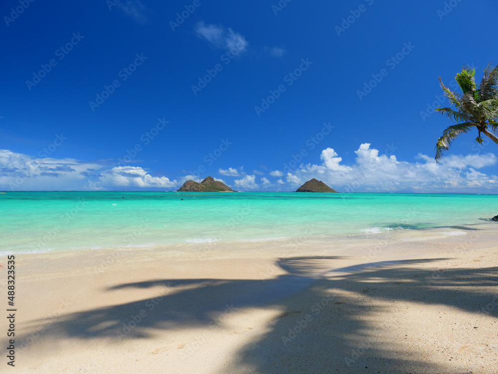 ハワイ、オアフ島、ラニカイビーチから眺めるモクルアと椰子の影