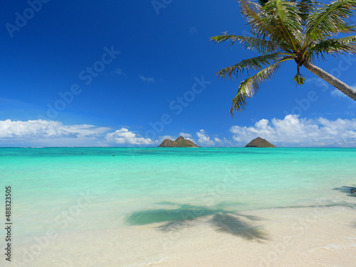 Fototapeta Naklejka Na Ścianę i Meble -  ハワイ、オアフ島、ラニカイビーチから眺めるモクルアと椰子の影