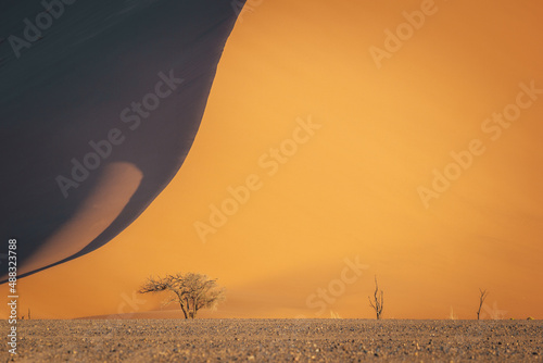 Dune 45 in Namib Naukluft Desert at sunrise  Namibia  Southern Africa