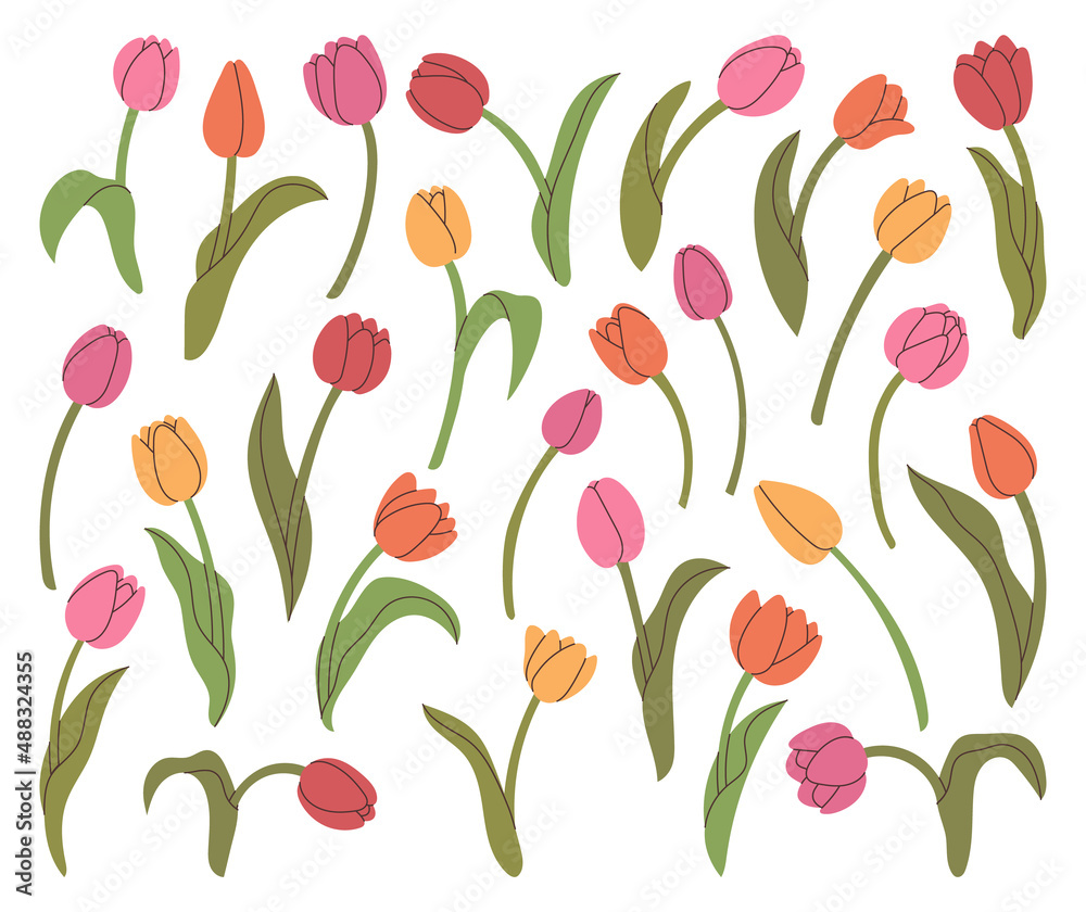 Collection hand drawn tulips elements for your design