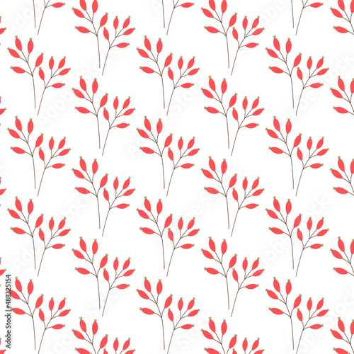 Seamless pattern with plants on the white background. Botanic ornament.
