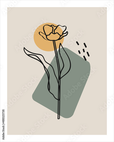 Trendy posters with plants. Modern Art. Minimalism. Abstract Plant Art design for print, cover, wallpaper, Minimal and natural wall art. Vector illustration.