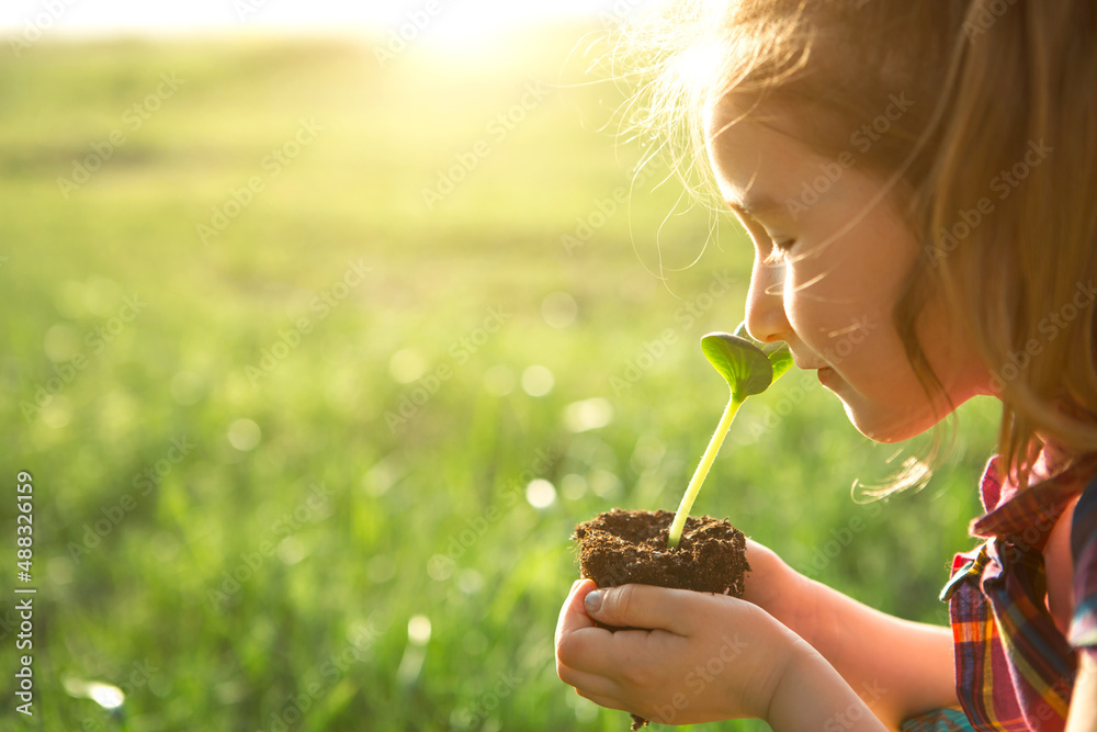 Young green sprout in the hands of a child in the light of the sun on a background of green grass. Natural seedlings, eco-friendly, new life, youth. The concept of development, peace, care. Copy space Young green sprout in the hands of a child in the light of the sun on a background of green grass. Natural seedlings, eco-friendly, new life, youth. The concept of development, peace, care. Copy space
