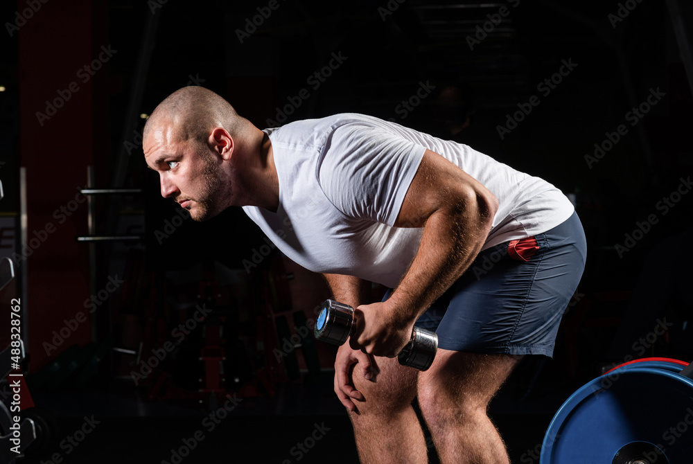Male bodybuilder engaged with dumbbells in the gym Male bodybuilder engaged with dumbbells in the gym