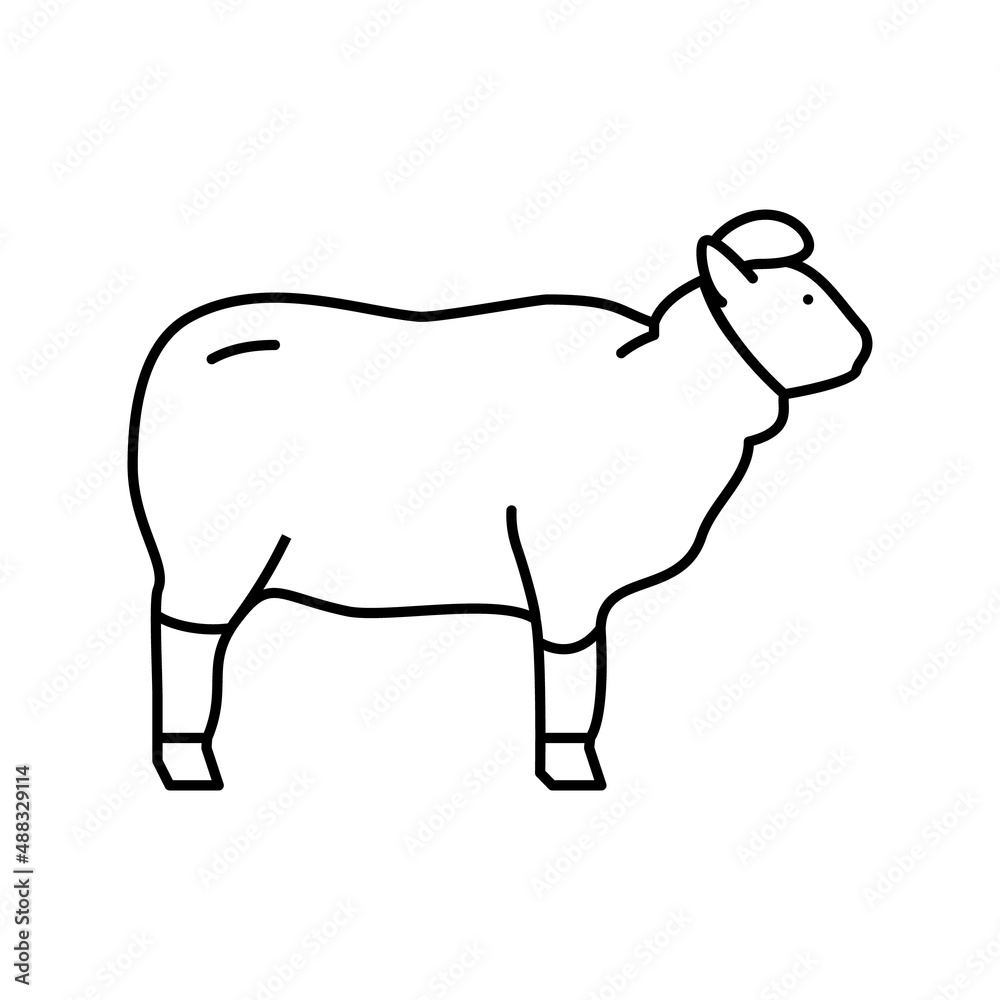 wool sheep line icon vector illustration wool sheep line icon vector illustration