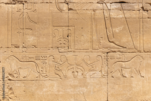 Relief details and Egyptian hieroglyphs at Karnak temple complex in Luxor, Egypt