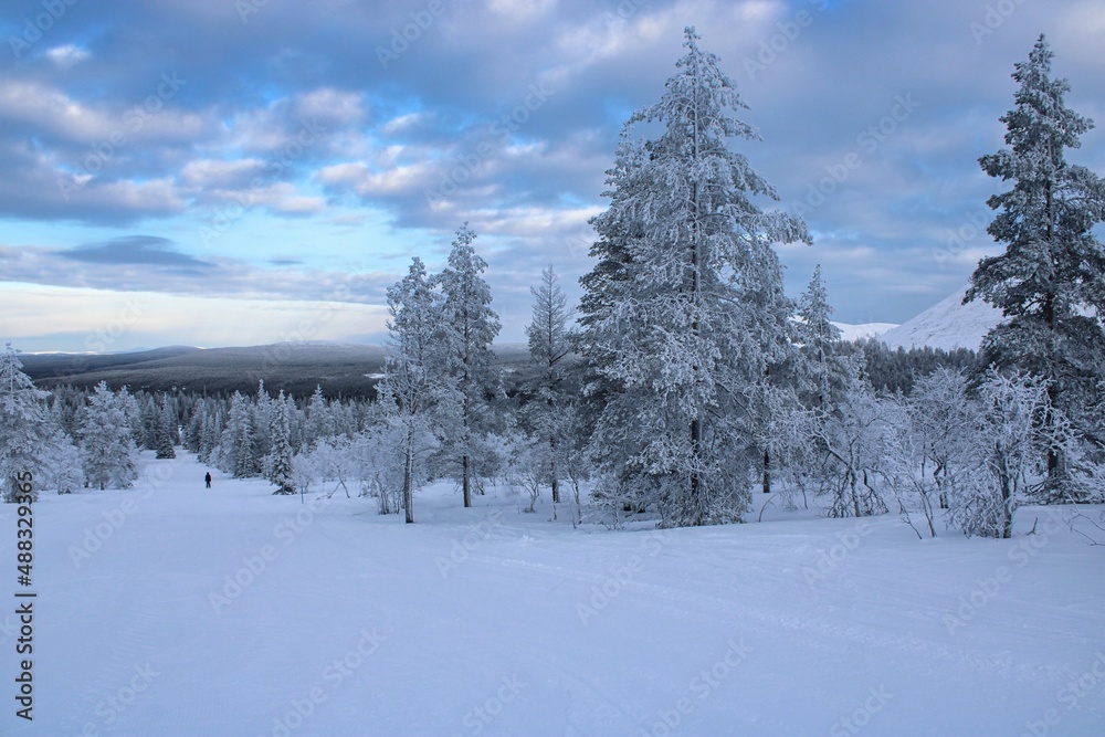 Fototapeta premium Endless landscape with forests in Finish Lapland close to the ski resort of Ylläs during dusk