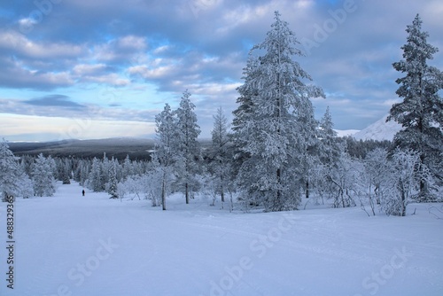 Endless landscape with forests in Finish Lapland close to the ski resort of Ylläs during dusk © been.there.recently