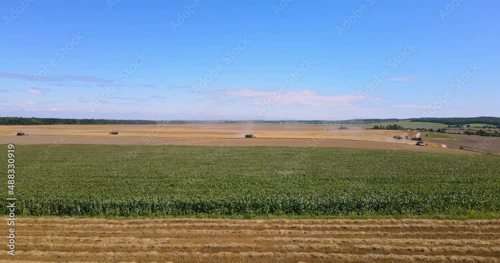 Many Harvesters Harvest In A Wheat Field Many Harvesters Harvest In A Wheat Field