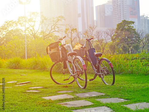 Bicycle in the park on the green grass. Bright atmosphere.