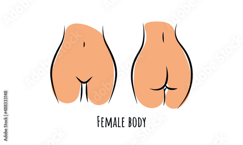 Female naked body. Front and Buttocks line icon. Butt or ass silhouette. Sexyal shapes, intimate elements. Vector