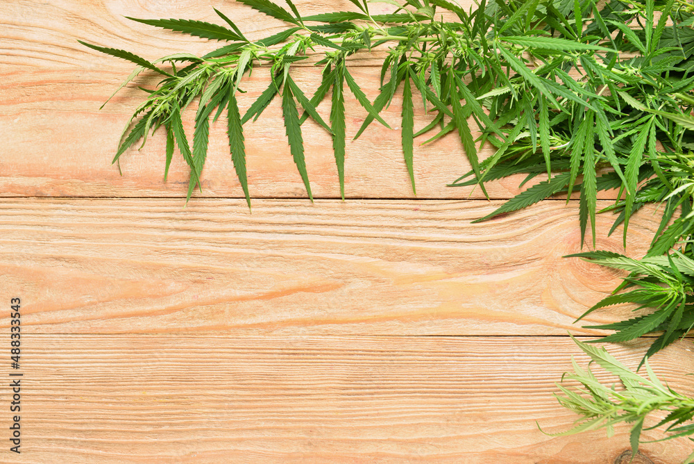 Cannabis bushes on wooden background, closeup Cannabis bushes on wooden background, closeup
