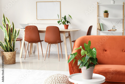 Table with houseplant near red sofa in living room